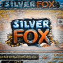 Silver Fox