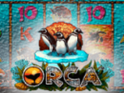 Orca